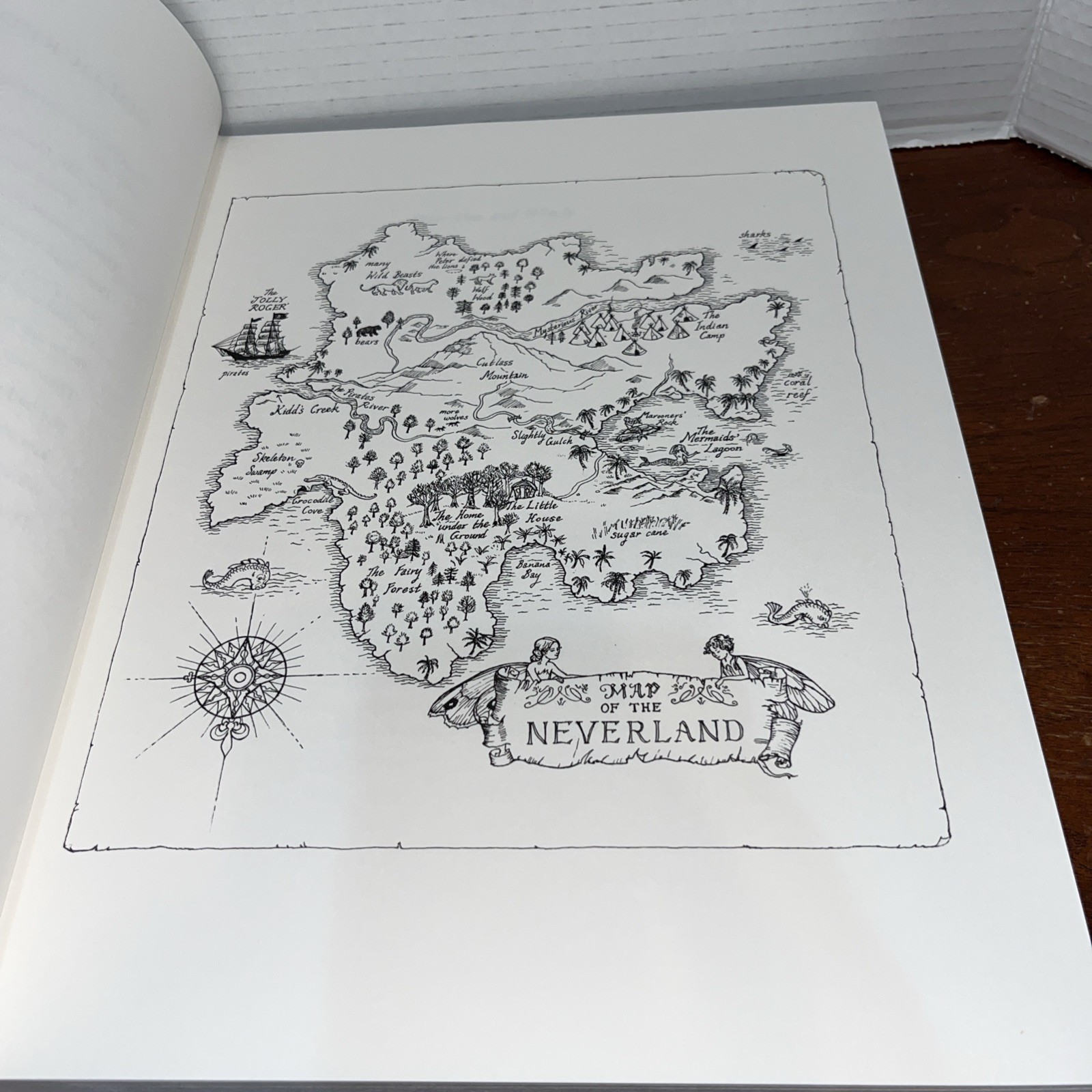 Peter Pan and Wendy – J M Barrie – Debra McFarlane – Folio Society – 2006 1st HB