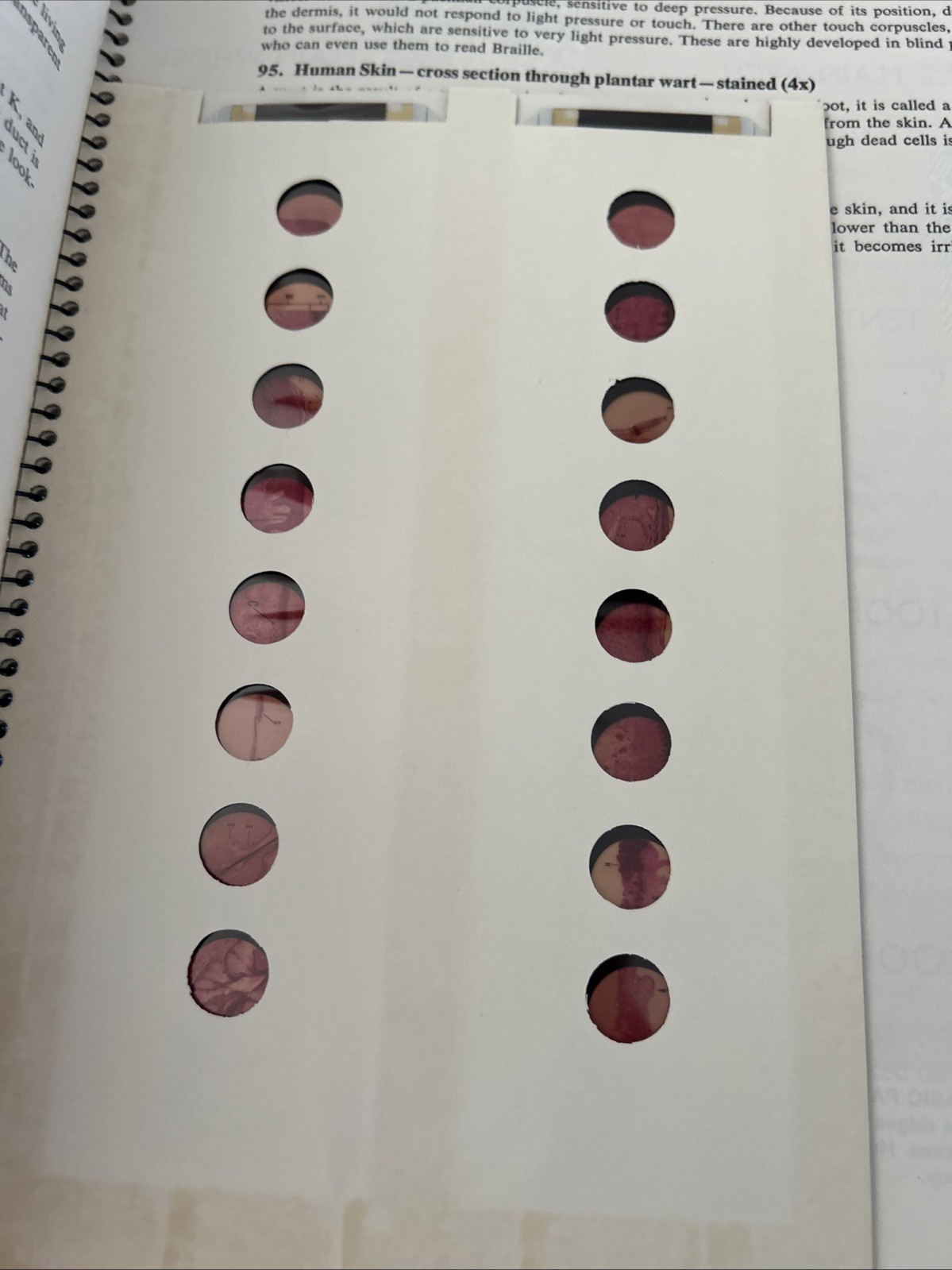 1-12 Micrograph 7401 w/slides Wonders of Life Folio The Cell spiral bound 1963