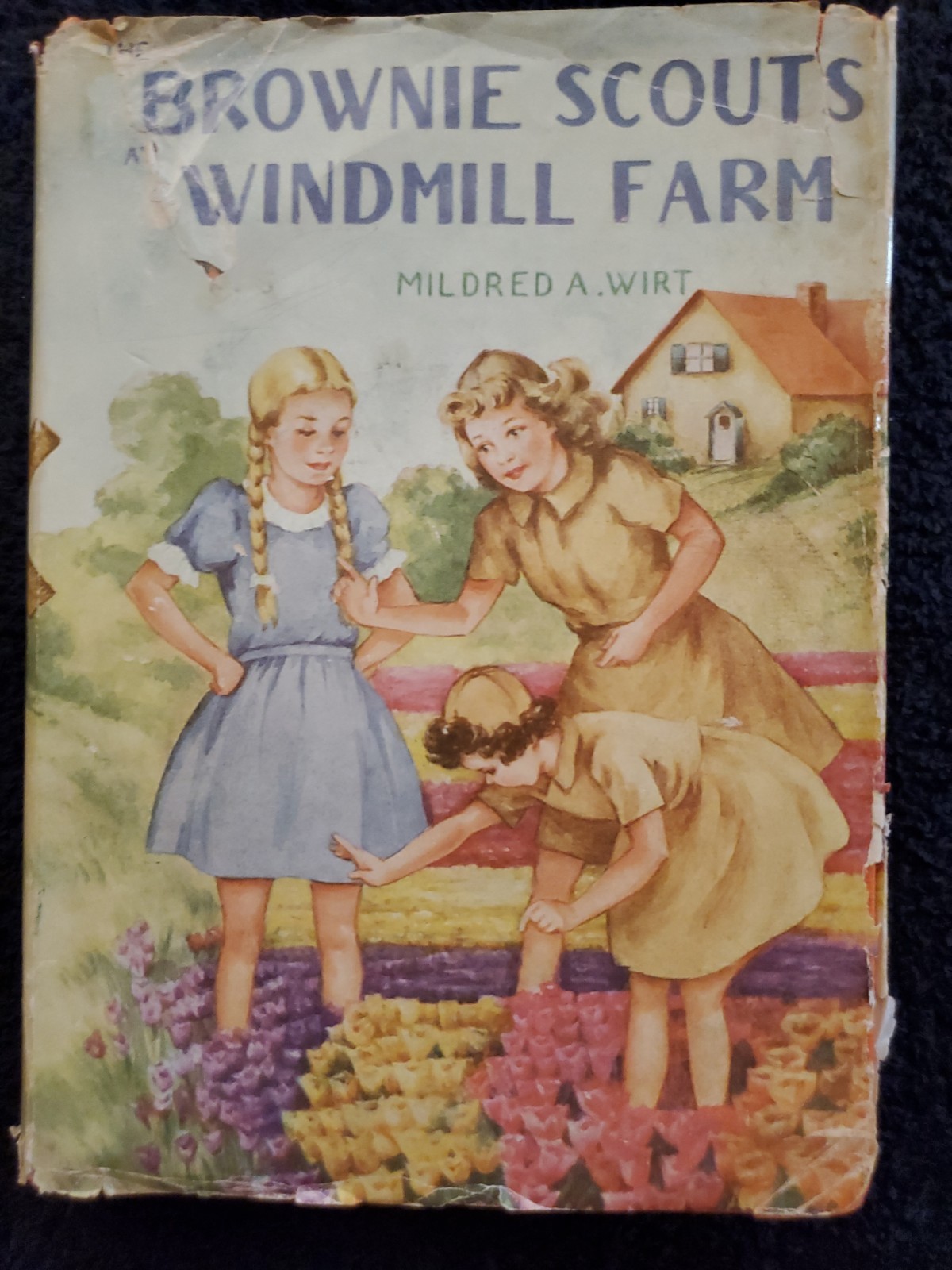 Brownie Scouts Mildred A. Wirt Volumes 1-6