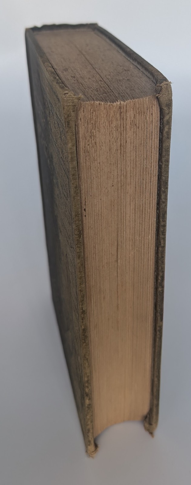 1886 The Water World J.W. Van Dervoort Illustrated Victorian Ocean Exploration