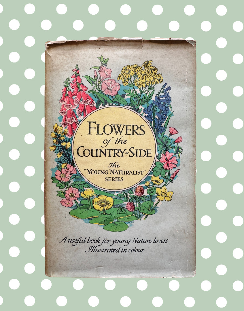 Vintage Flowers of the Country-Side Book Cyril J Lane Young Naturalist 1950s