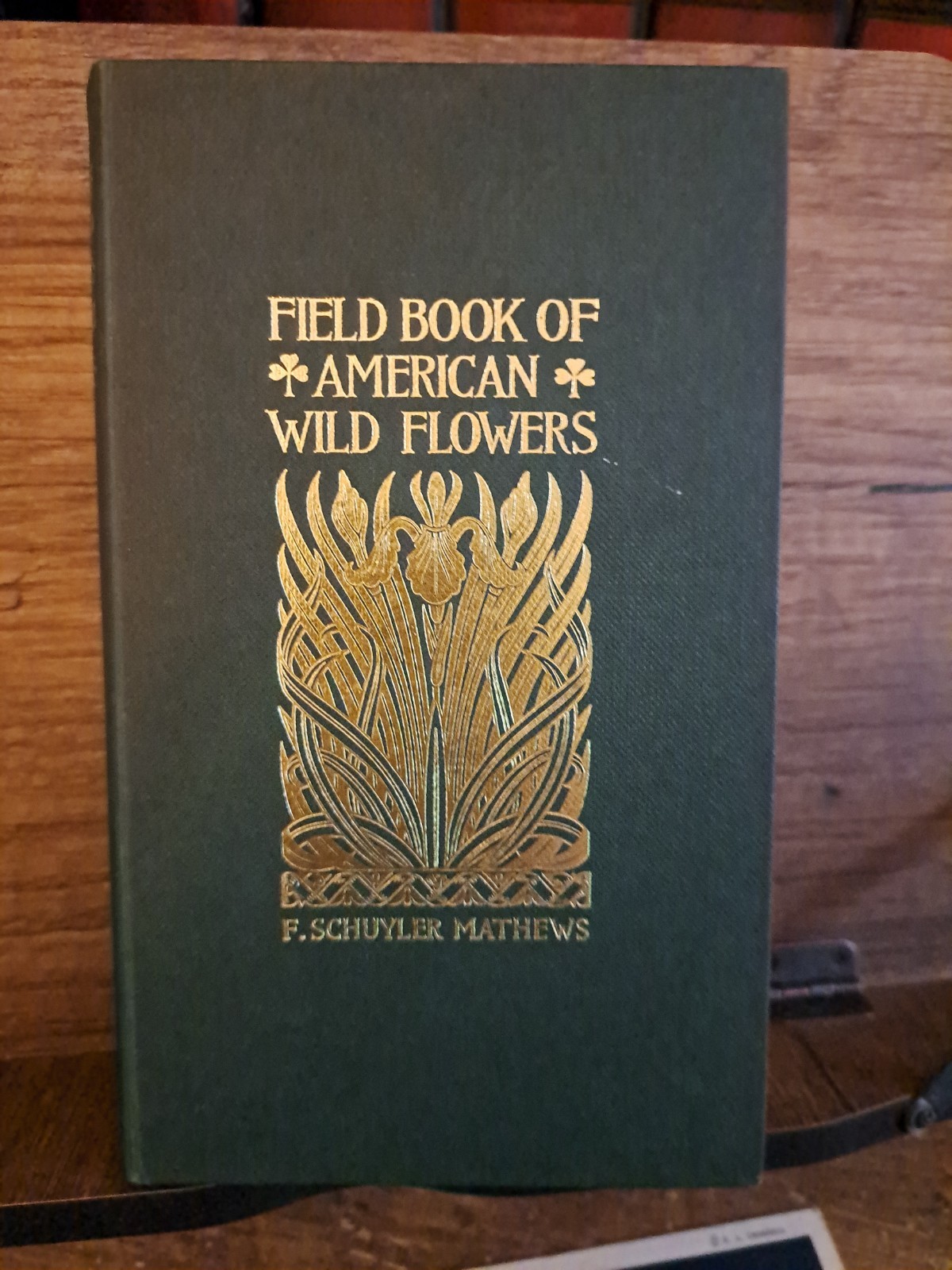 1902 Field Book Of American Flowers F Schuyler Mathews 2001 reprint freeship