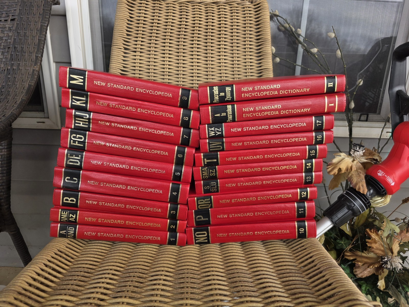 New Standard Encyclopedia 19 Volume Complete Set Chicago 1-17 + Dictionary 1982