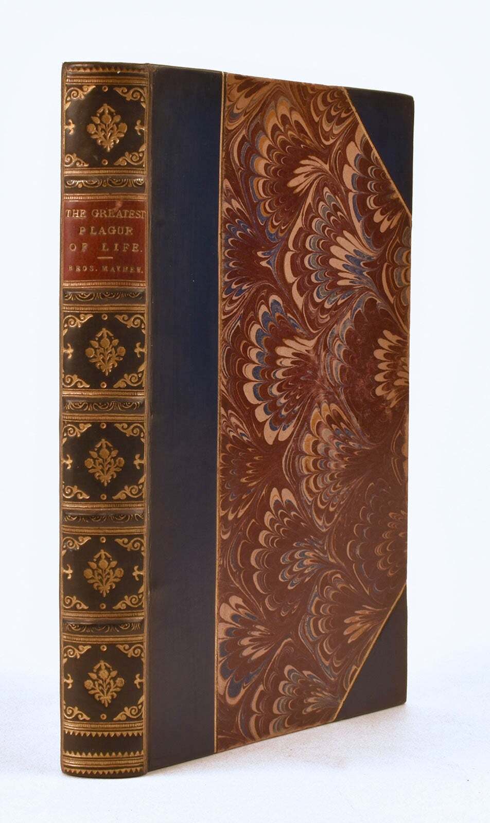 Mayhew and Cruikshank. The Greatest Plague of Life. London. 1847. First ed.