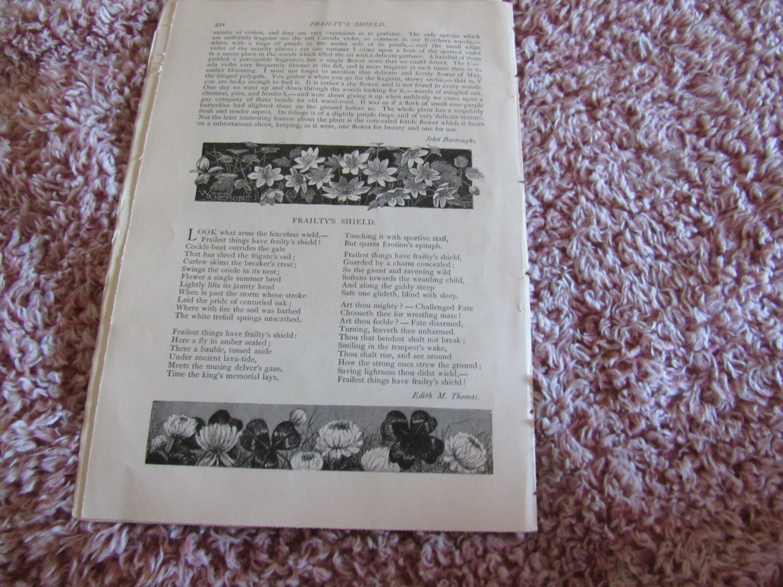Antique Article-Illustrated-1887-1880’s-Among the Wildflowers-John Burroughs