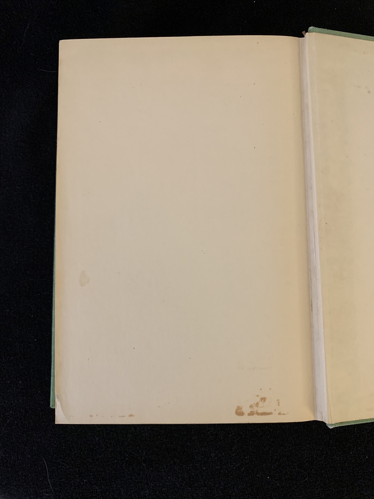 Antique! The European Cookbook For American Homes by The Browns 1936 HC VG