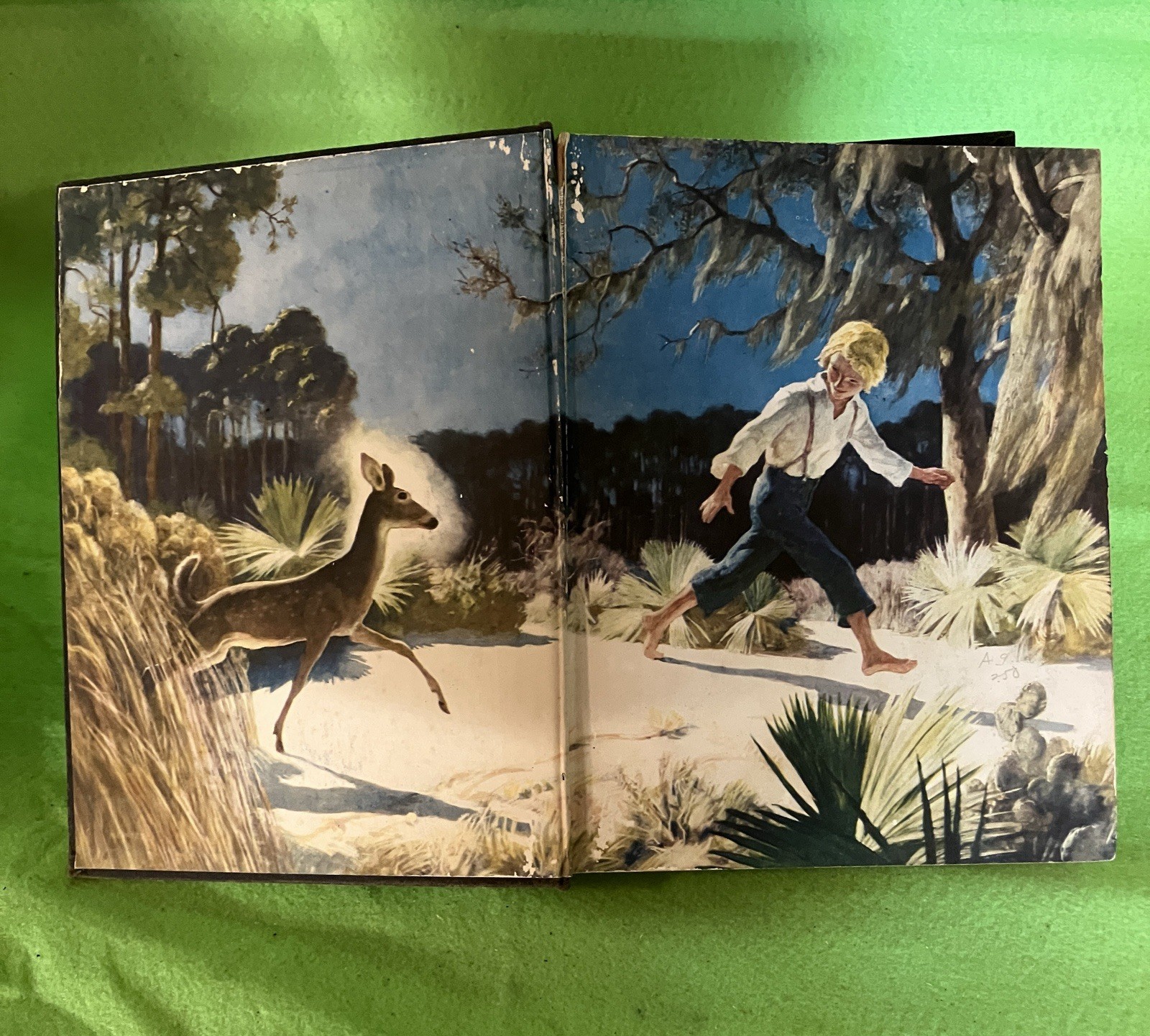 The Yearling by M. K. Rawlings 1939, NC Wyeth Illustrations. Florida History