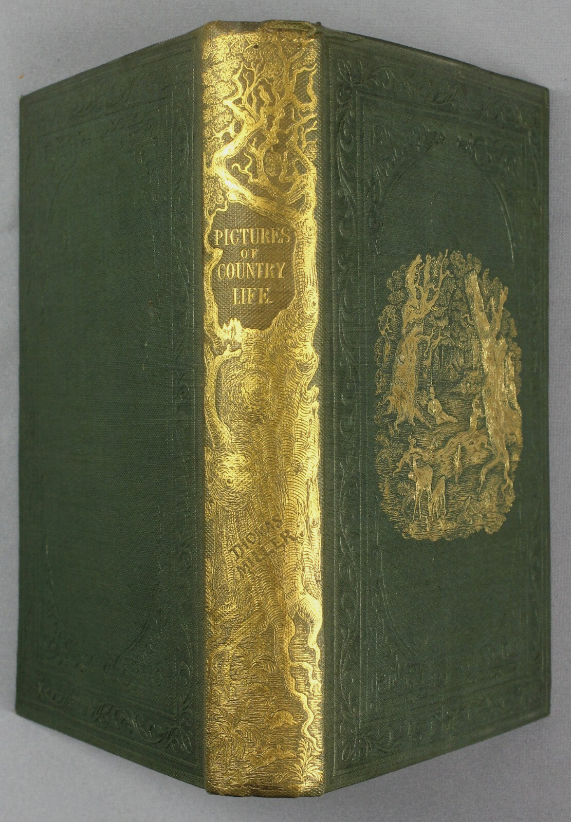 Fine gilded cloth BINDING – Thomas Miller – 1847 – Country Life Summer Rambles
