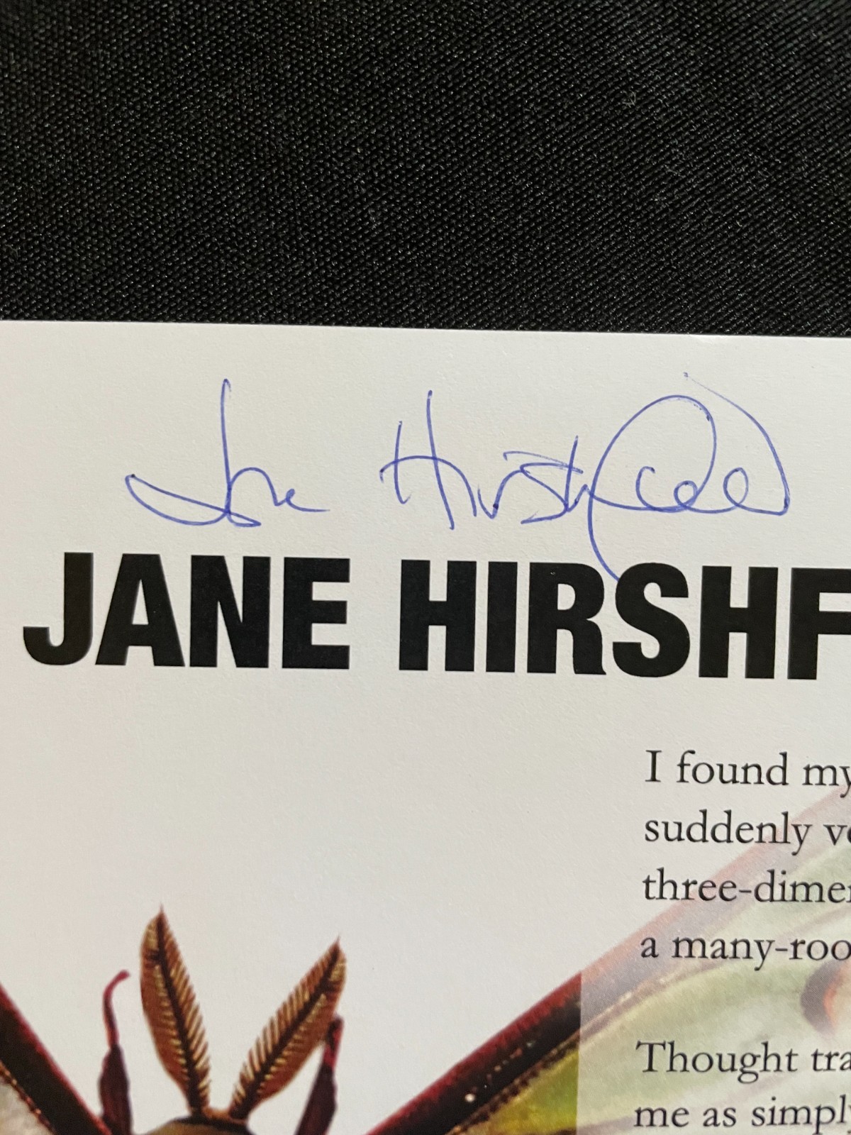 SIGNED Jane Hirshfield Poetry Broadside “Many-Roofed Building In Moonlight” Ltd.