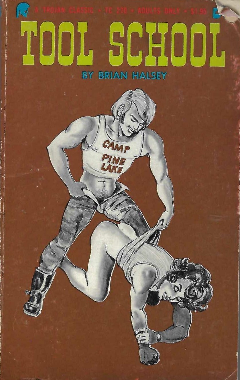 VTG GAY PULP FICTION “Tool School” Brian Halsey (GX Inc Chatsworth CA) Rare PBO