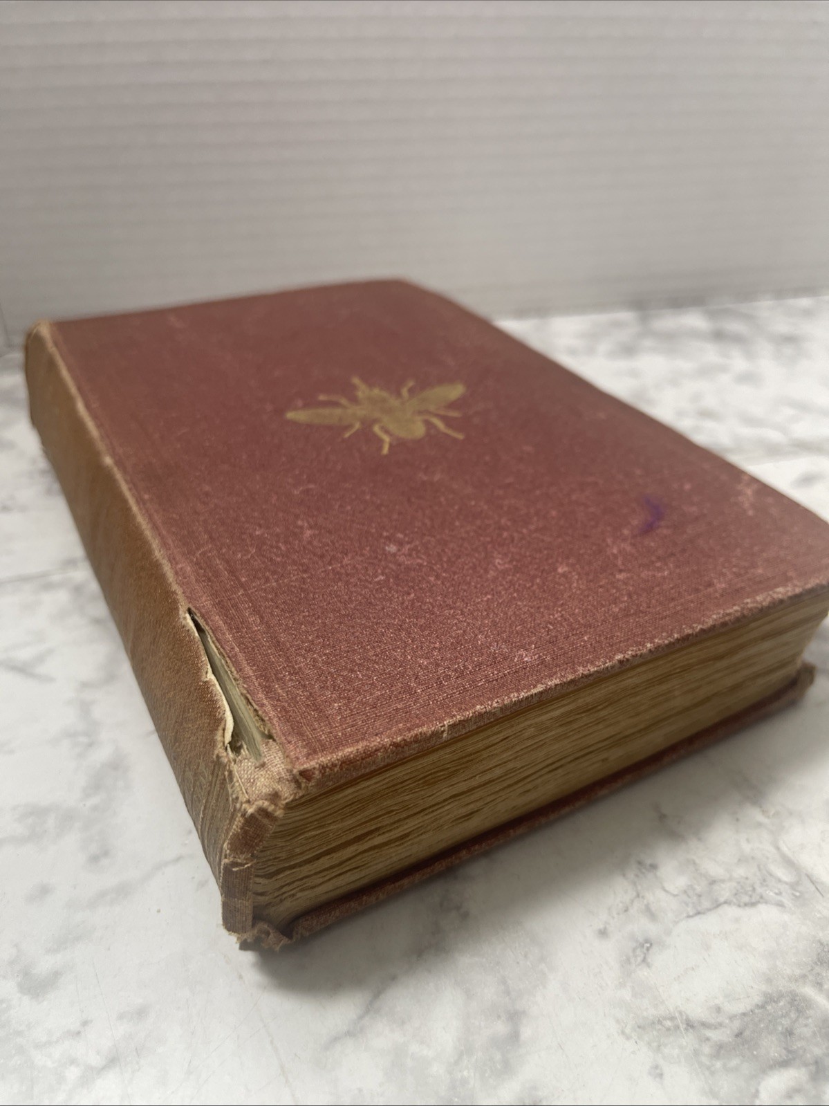 A Popular Account of Missionary Travels Researches in S. Africa Livingstone 1861