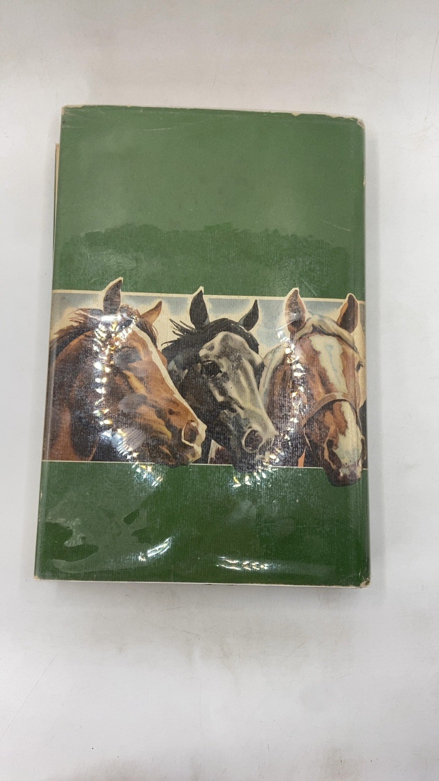 Horses, Horses, Horses