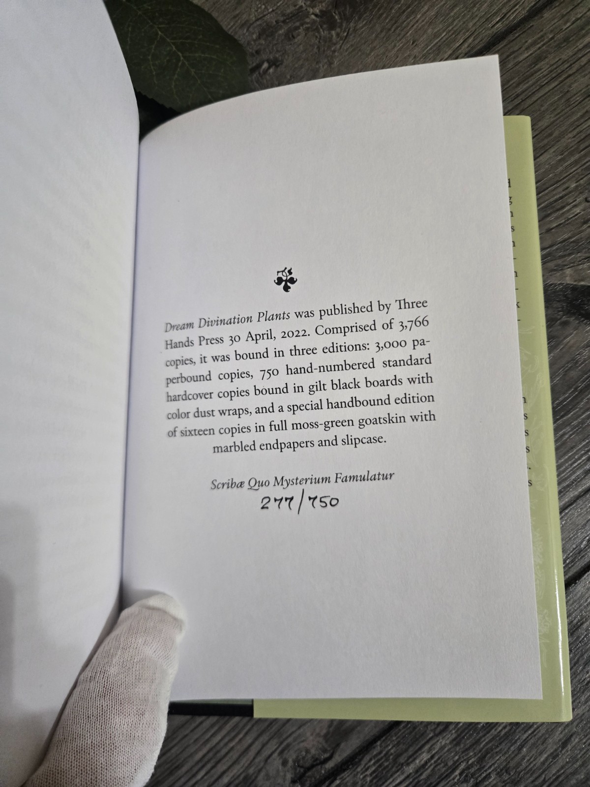 Dream Divination Plants – Corinne Boyer – Three Hands Press – Numbered Hardcover