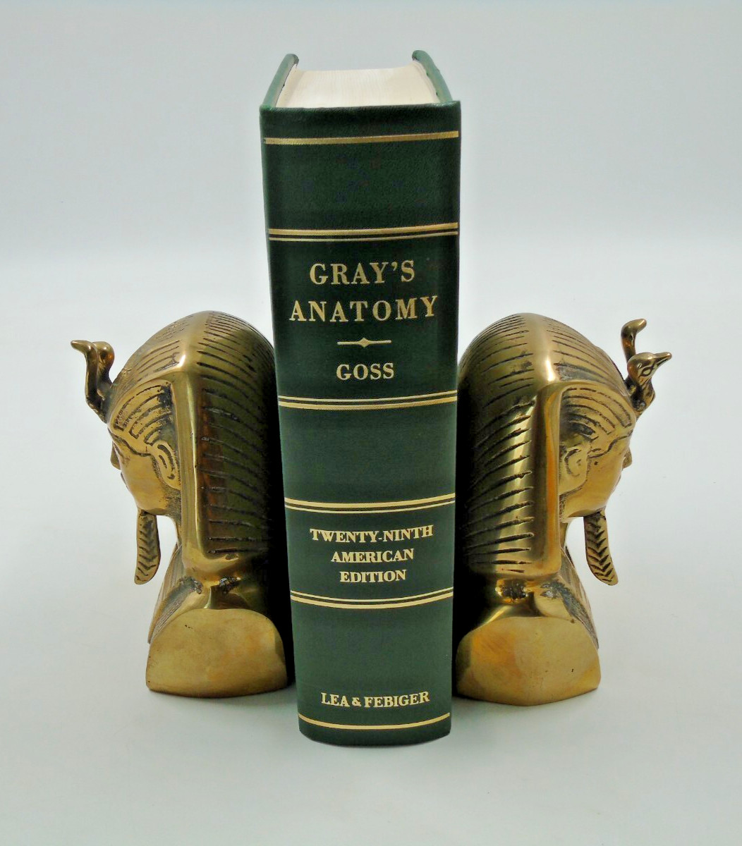 Vintage Gray’s Anatomy 1973 Goss 29th American Edition Lea & Febiger Illustrated