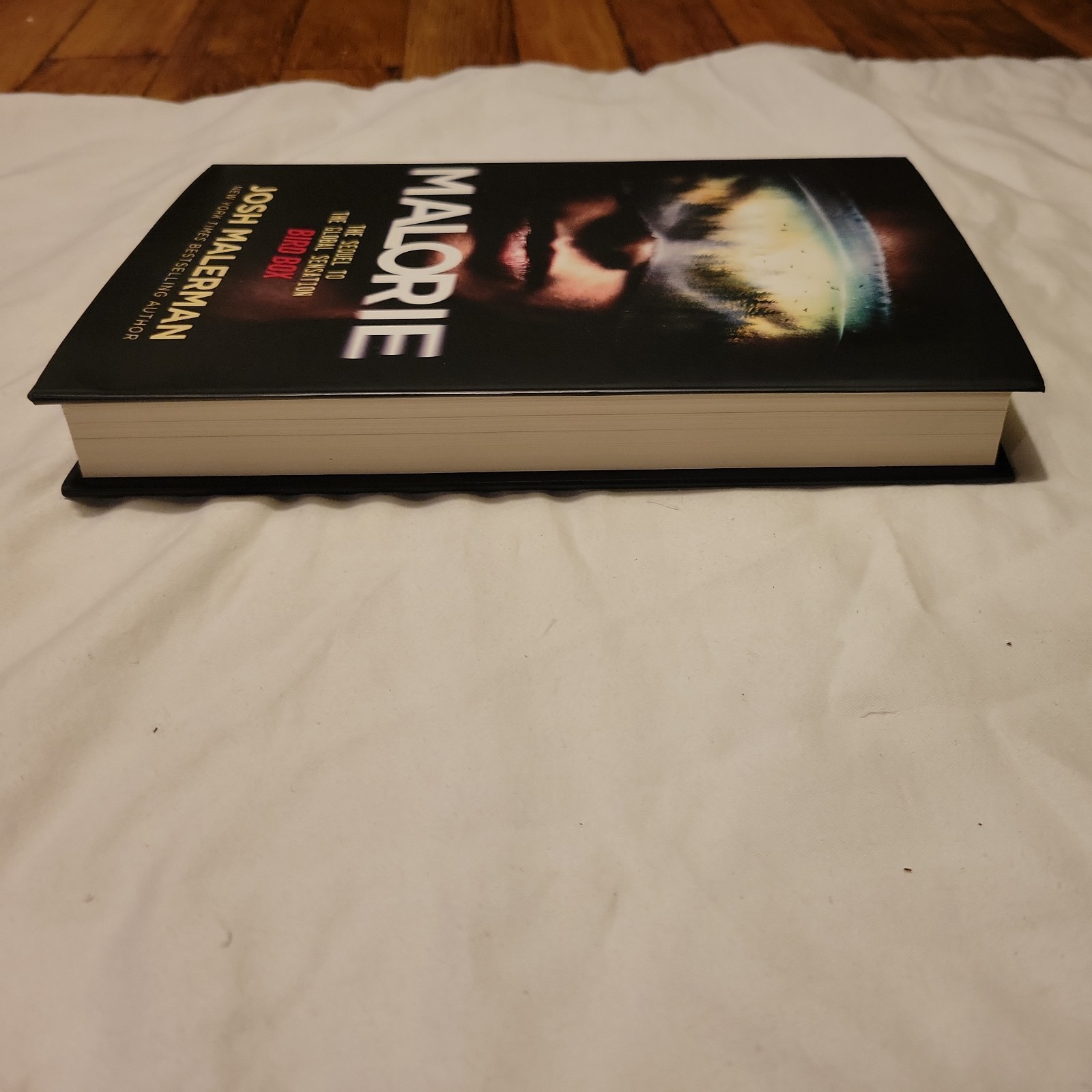 MALORIE Josh Malerman HORROR 1st Edition First Printing BIRD BOX sequel NOVEL