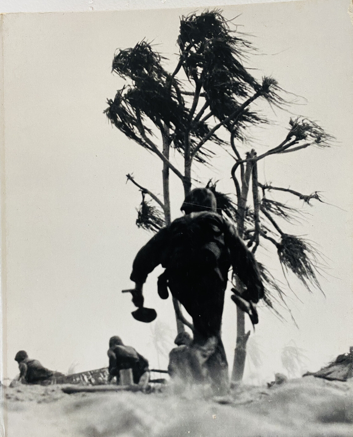 World War II Island Fighting by Time-Life Books Editors and Rafael…