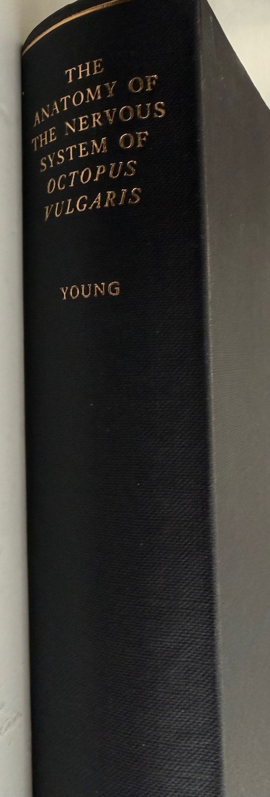 The Anatomy Of The Nervous System Of Octopus Vulgaris Jo Young 1971 1st Ed Rare