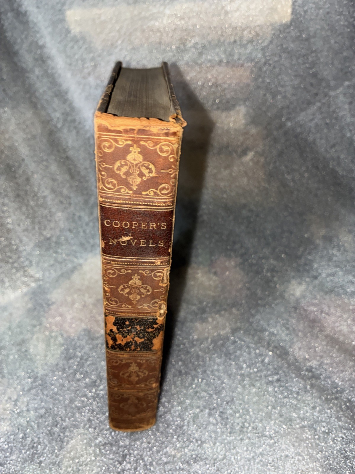 Deerslayer James F. Cooper Fine Binding Leather Marbled Leatherstocking book