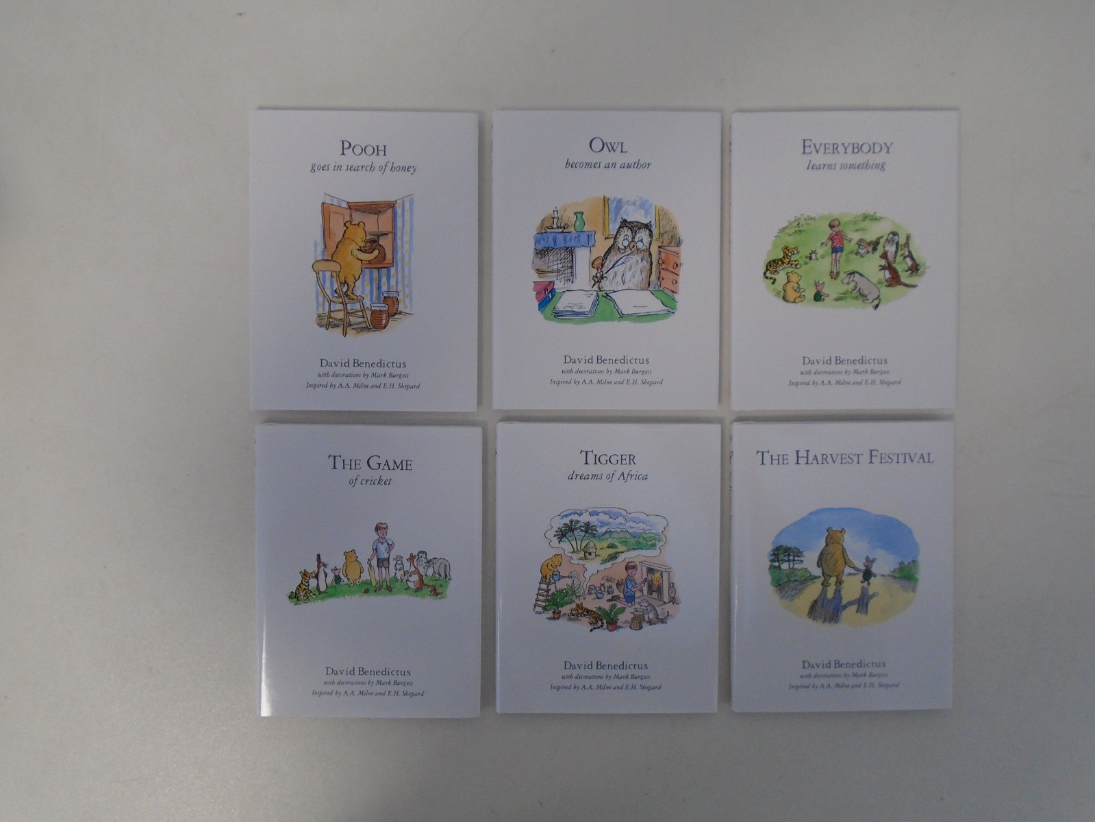 Winnie The Pooh Complete Collection 30 Book Box Set AA Milne VGC D49 Wh65