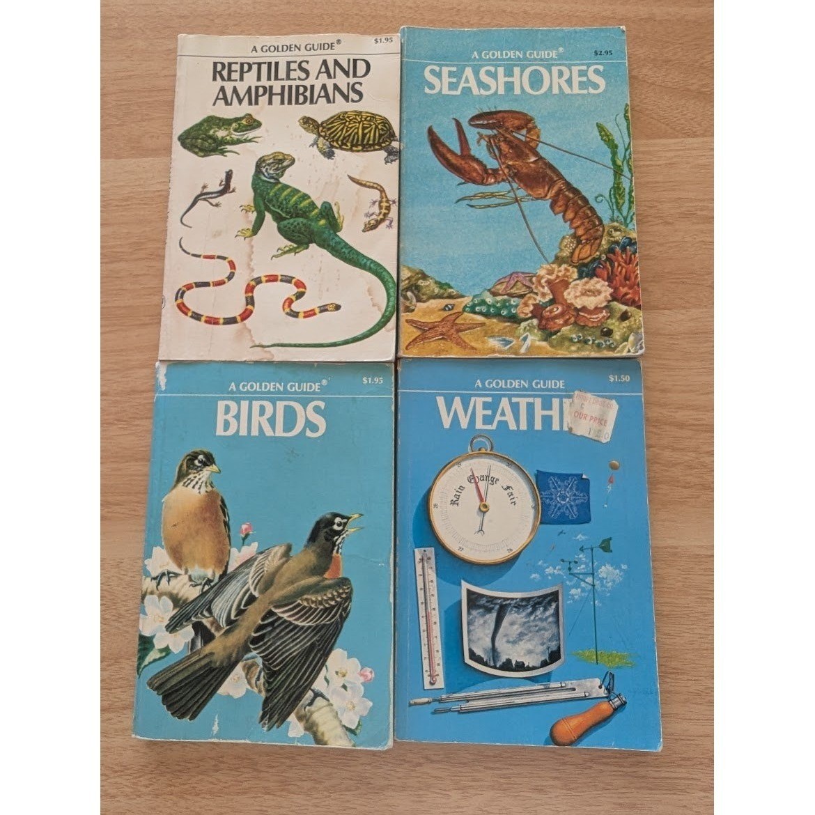 4 Lot Vintage A Golden Guide Book Lot Birds Weather Reptiles Seashores
