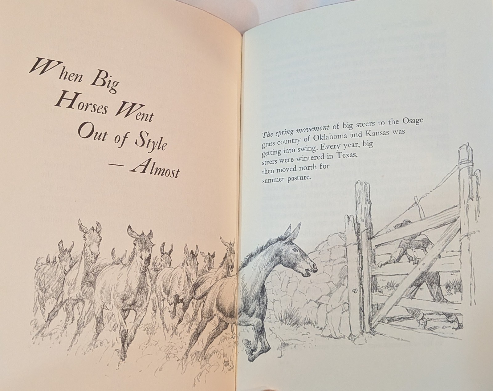 Vintage Book “Horse Tradin” by Ben K. Green, DVM-1978