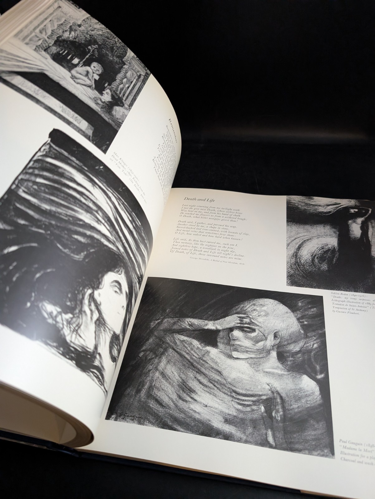 The Symbolists And Symbolism Art Book Collection Gibson Jullian Delevoy Skira LS