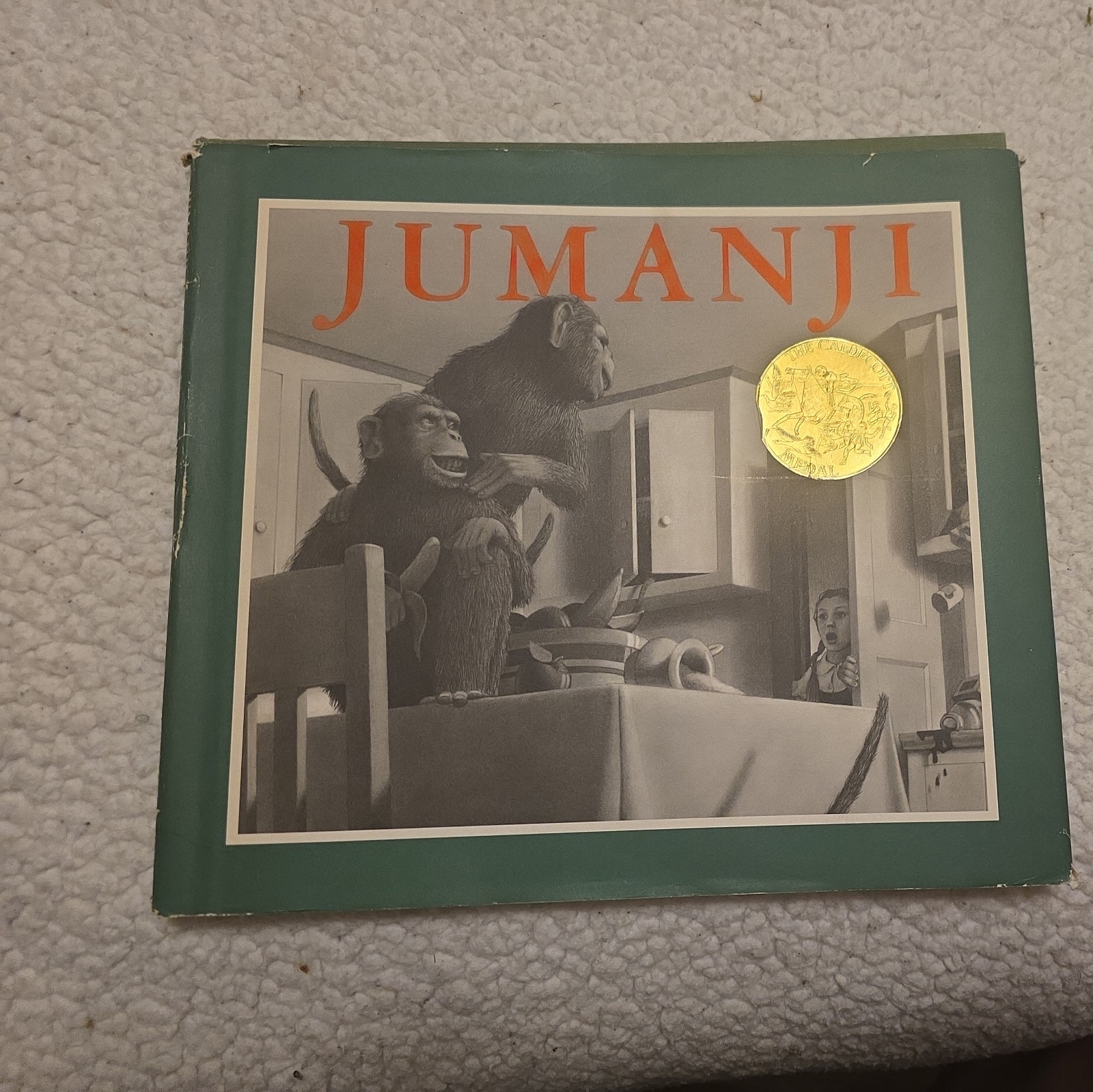 RARE 1981 JUMANJI Book by Chris Van Allsburg ILLUSTRATED dc dj Caldecott Medal