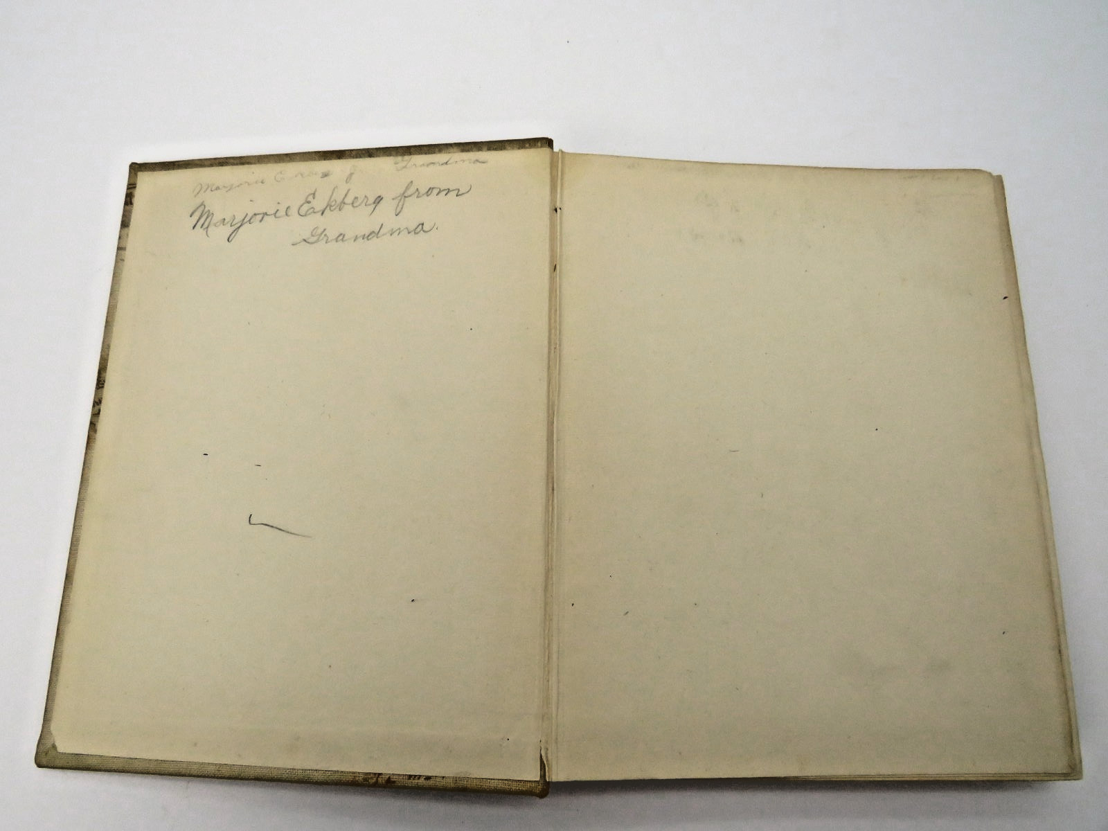 Through The Looking Glass Lewis Carroll 1897 Henry Altemus Alice In Wonderland