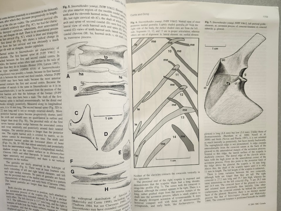 Philip J. Currie & Others Cretaceous Dinosaur Fossil +MORE Reprint Collection !!