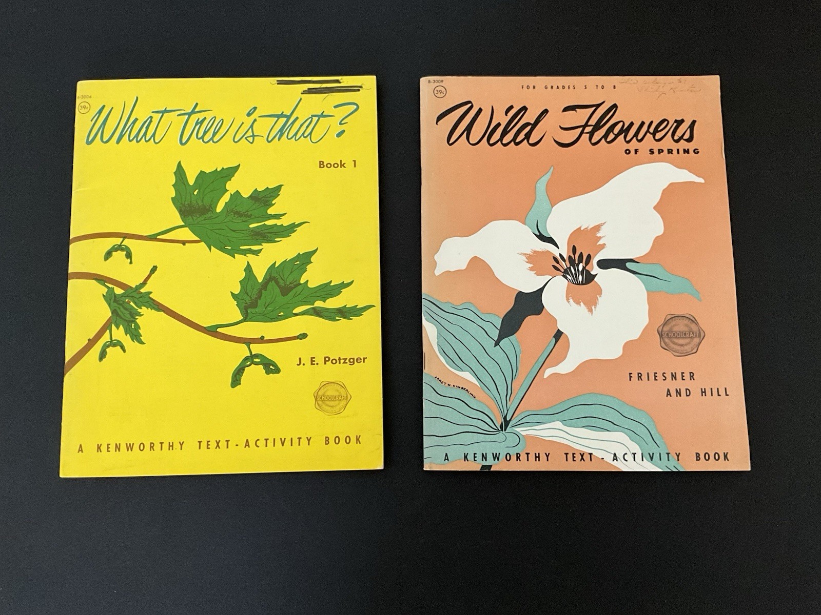 2 Vintage Educational Soft-cover Books: What Tree Is That/Wild Flowers of Spring