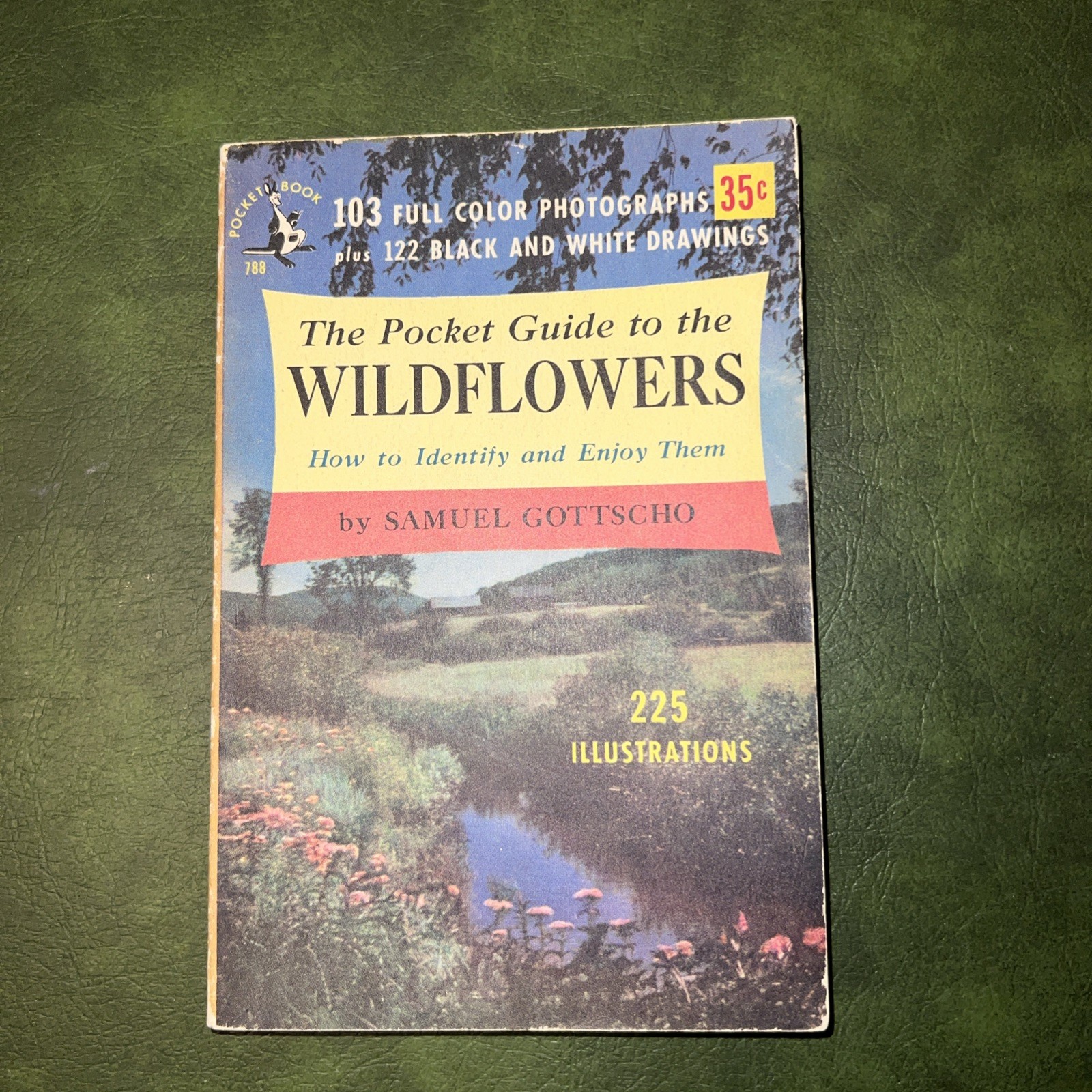 The Pocket Guide to the Wildflowers Samuel Gottscho Copyright 1951