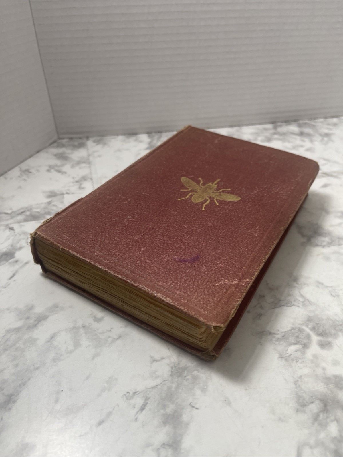 A Popular Account of Missionary Travels Researches in S. Africa Livingstone 1861