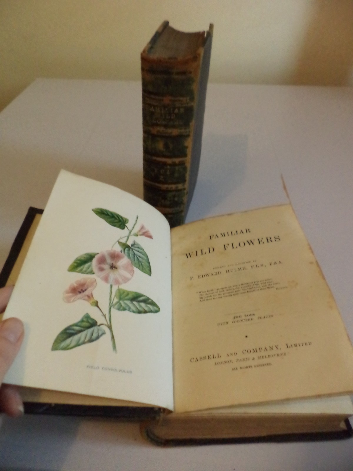 Familiar Wild Flowers Edward Hulme In 2 Volumes old antique book set 1st & 3rd
