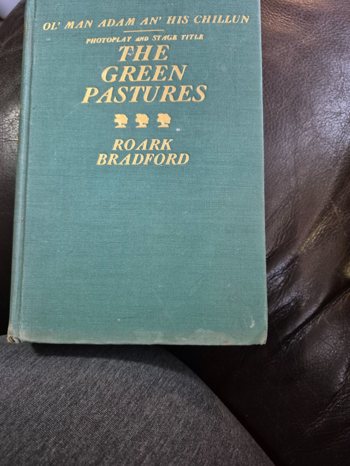 ol’ man adam an’ his chillun photoplay and stage title the green pastures