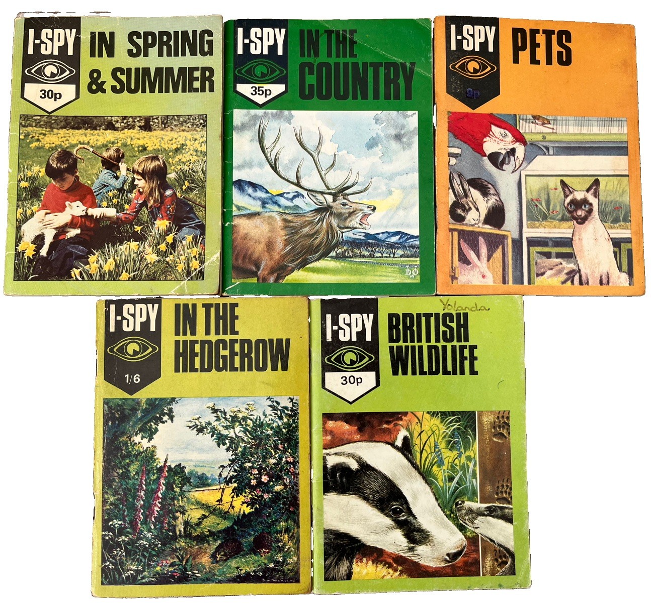 Vintage I-Spy British Wildlife Hedgerow Pets Country In Books 70s Big Chief Eye.