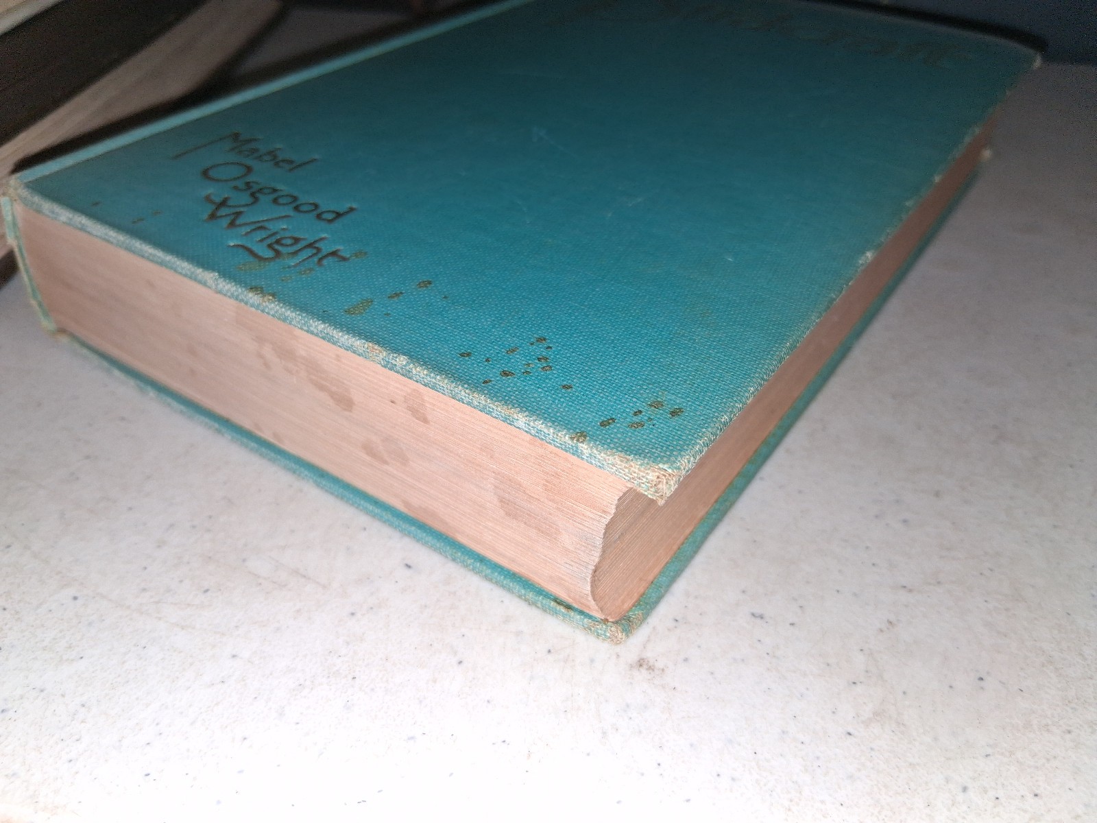 Birdcraft (1936) Mabel Osgood Wright 9th Edition Field Book Songbirds Plates