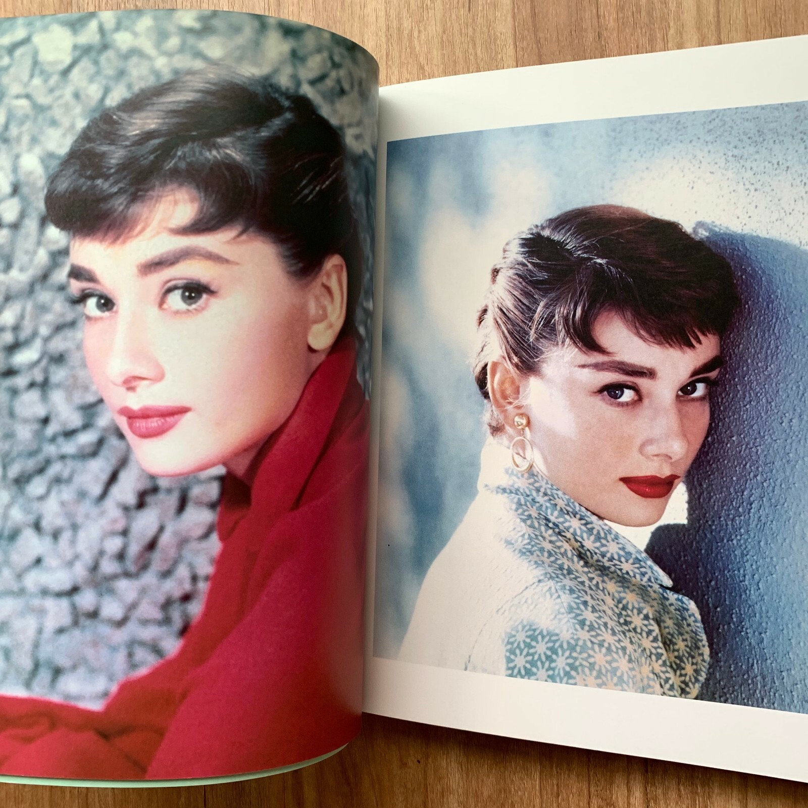 Audrey Hepburn Photo Book Hollywood Daily Fashion style with Family Home Japan