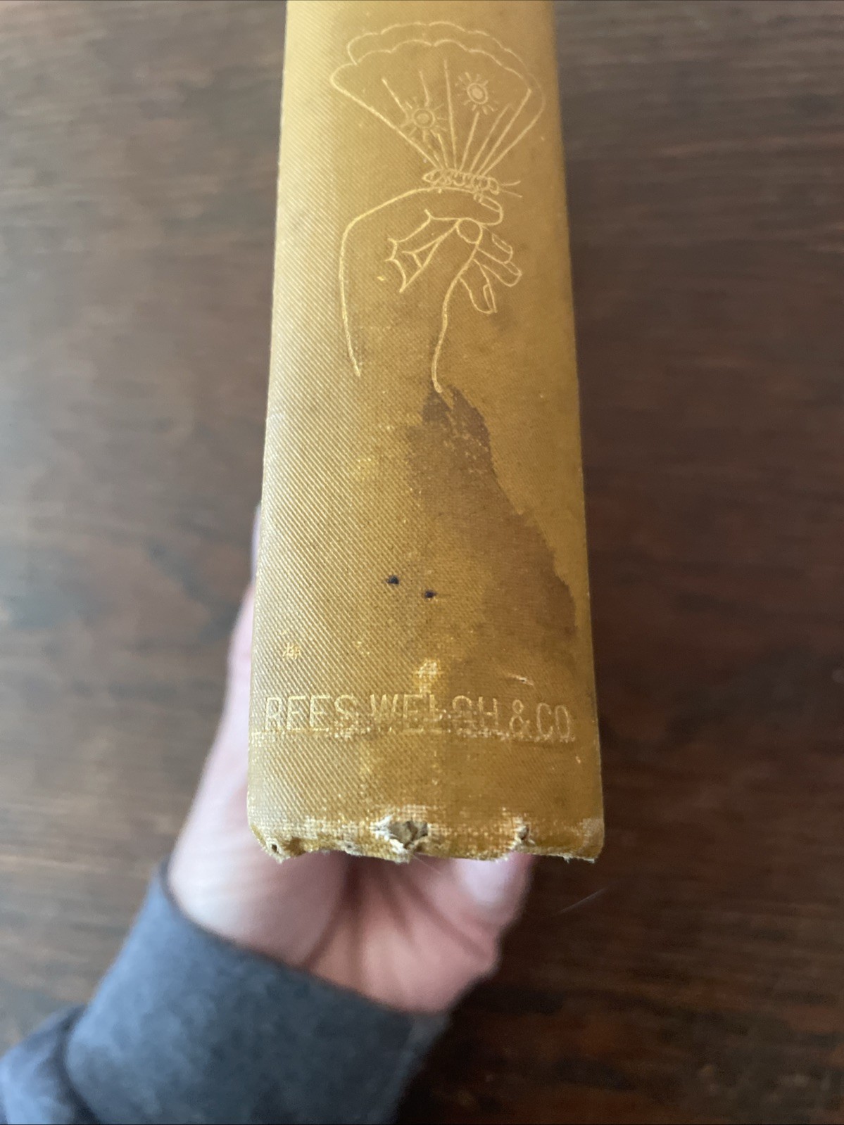 Specimen Days & Collect by Walt Whitman 1st Edition Antique 1882-’83 Book