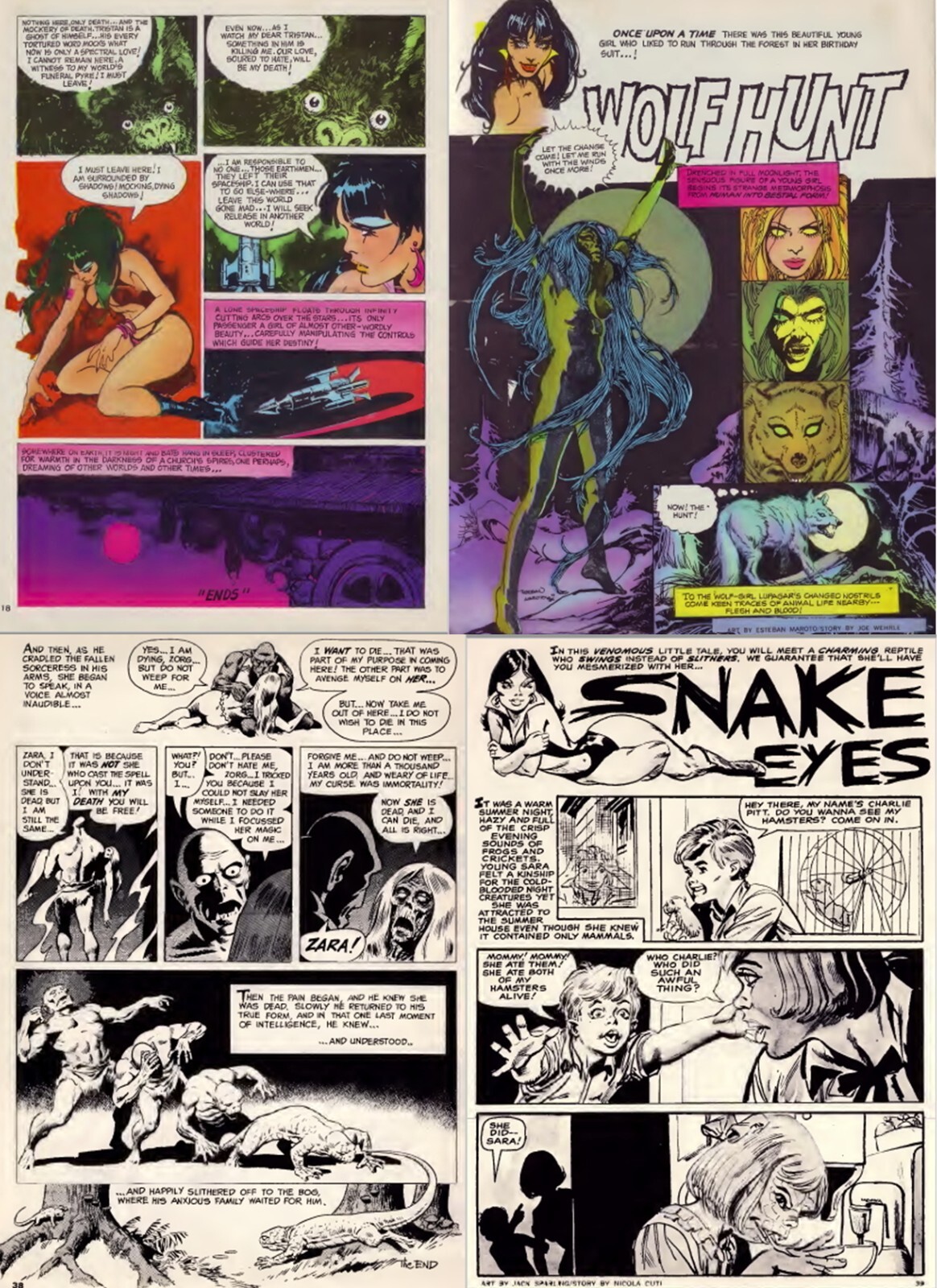 Vampirella – Comic Horror Super heroines Sexy Art Magazine -114 Old Issue on DVD