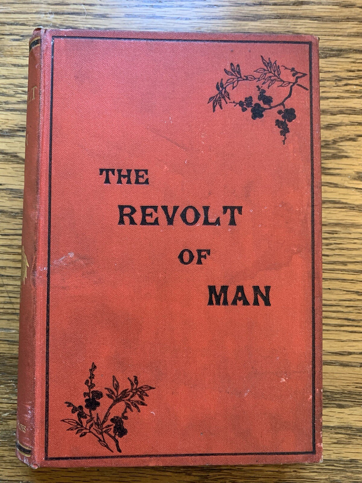 1882 The Revolt of Man Walter Besant First Edition Very Scarce