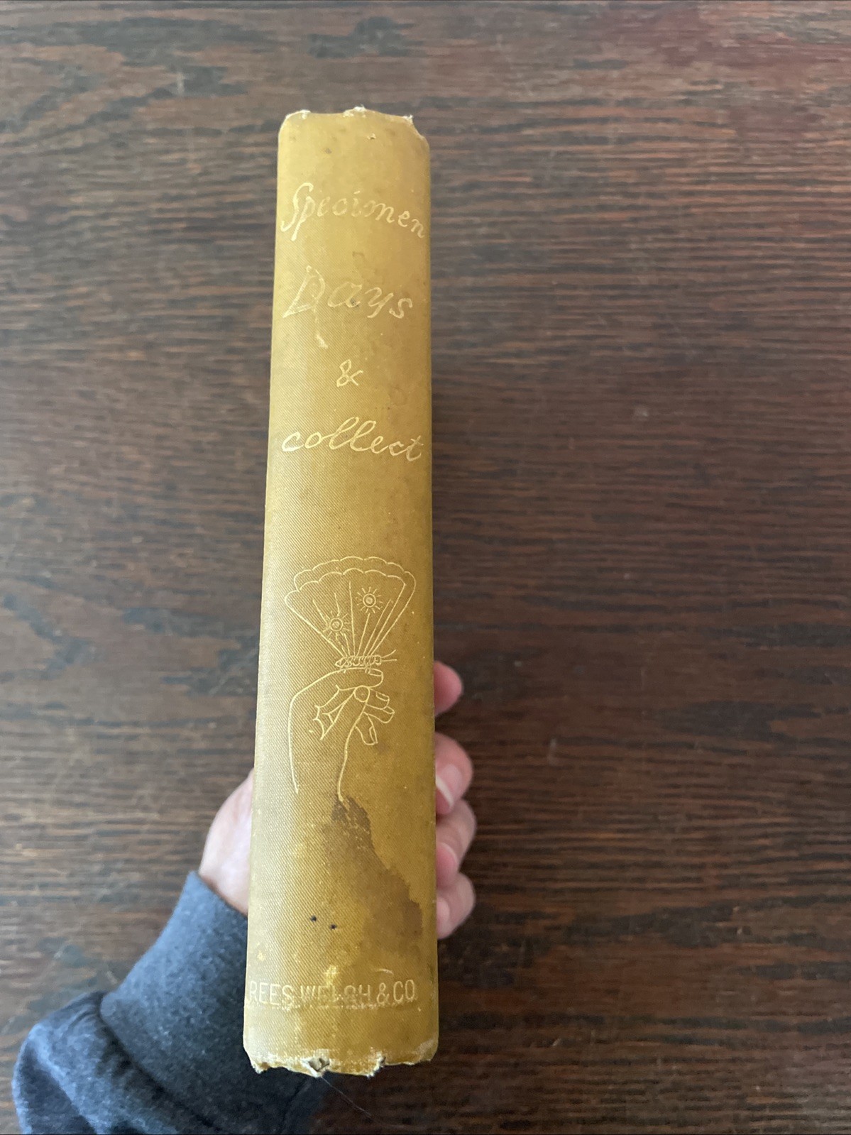 Specimen Days & Collect by Walt Whitman 1st Edition Antique 1882-’83 Book