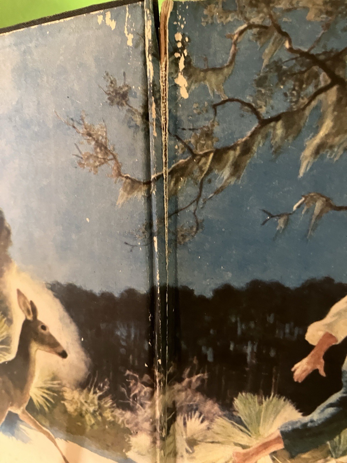 The Yearling by M. K. Rawlings 1939, NC Wyeth Illustrations. Florida History
