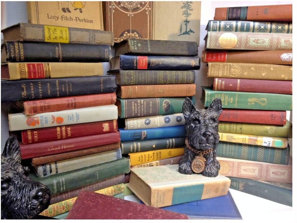 Lot of 10 Vintage Old Rare Antique Hardcover Books – Mixed Color – Random