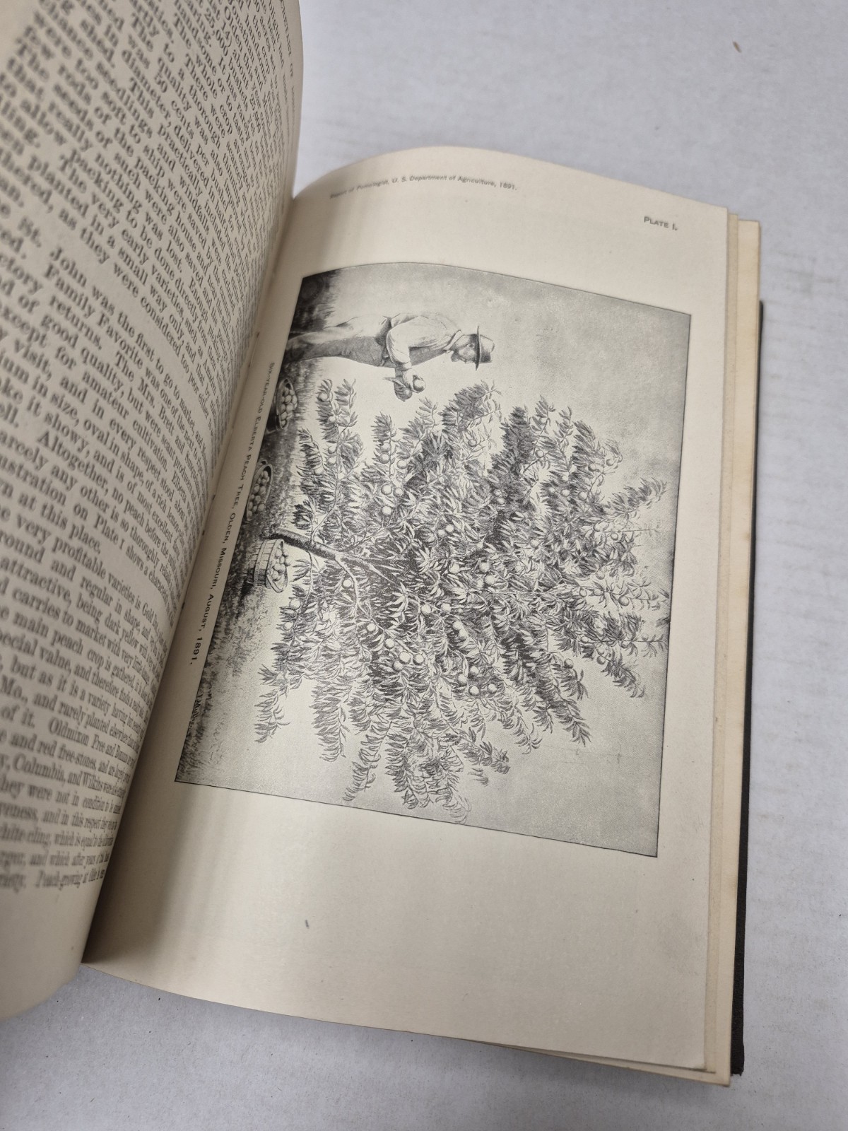 Report Of The Secretary Of Agriculture 1892 Hardcover Washington USA Maps Plates