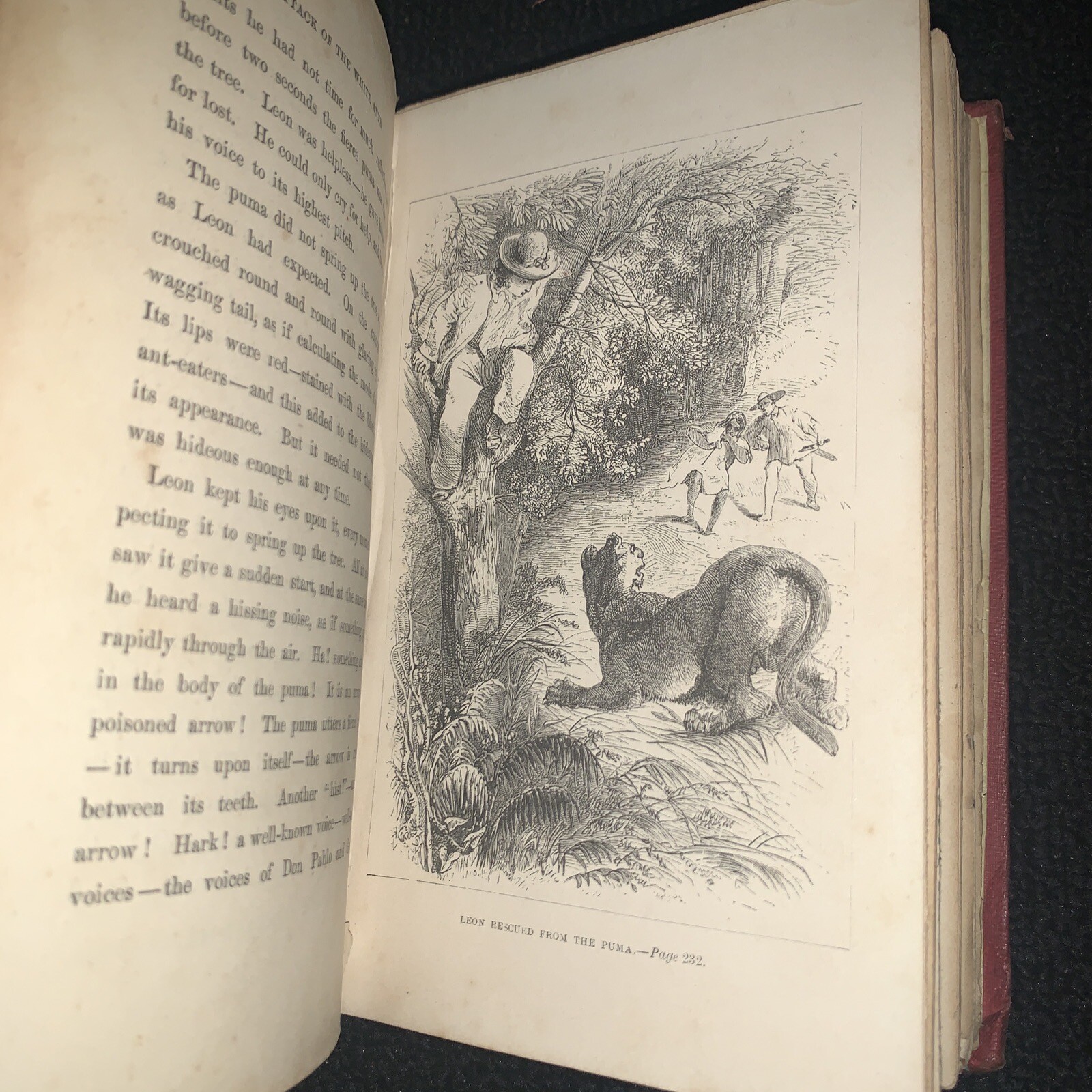 The Forest Exiles The Perils of A Peruvian Family & Wilds of The Amazon 1856