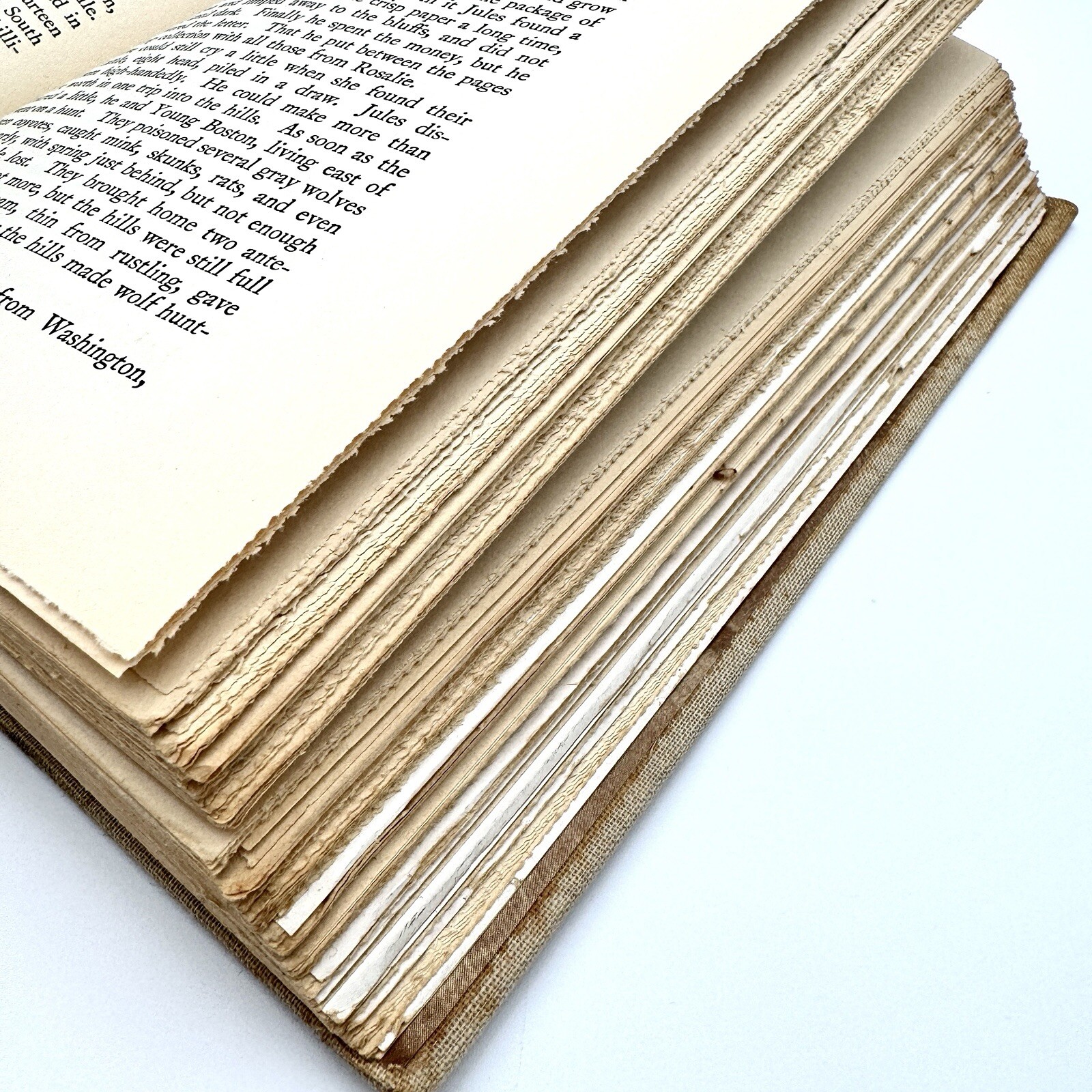 Vintage OLD JULES By MARI SANDOZ 1935 First Edition Illustrated Hardcover Book