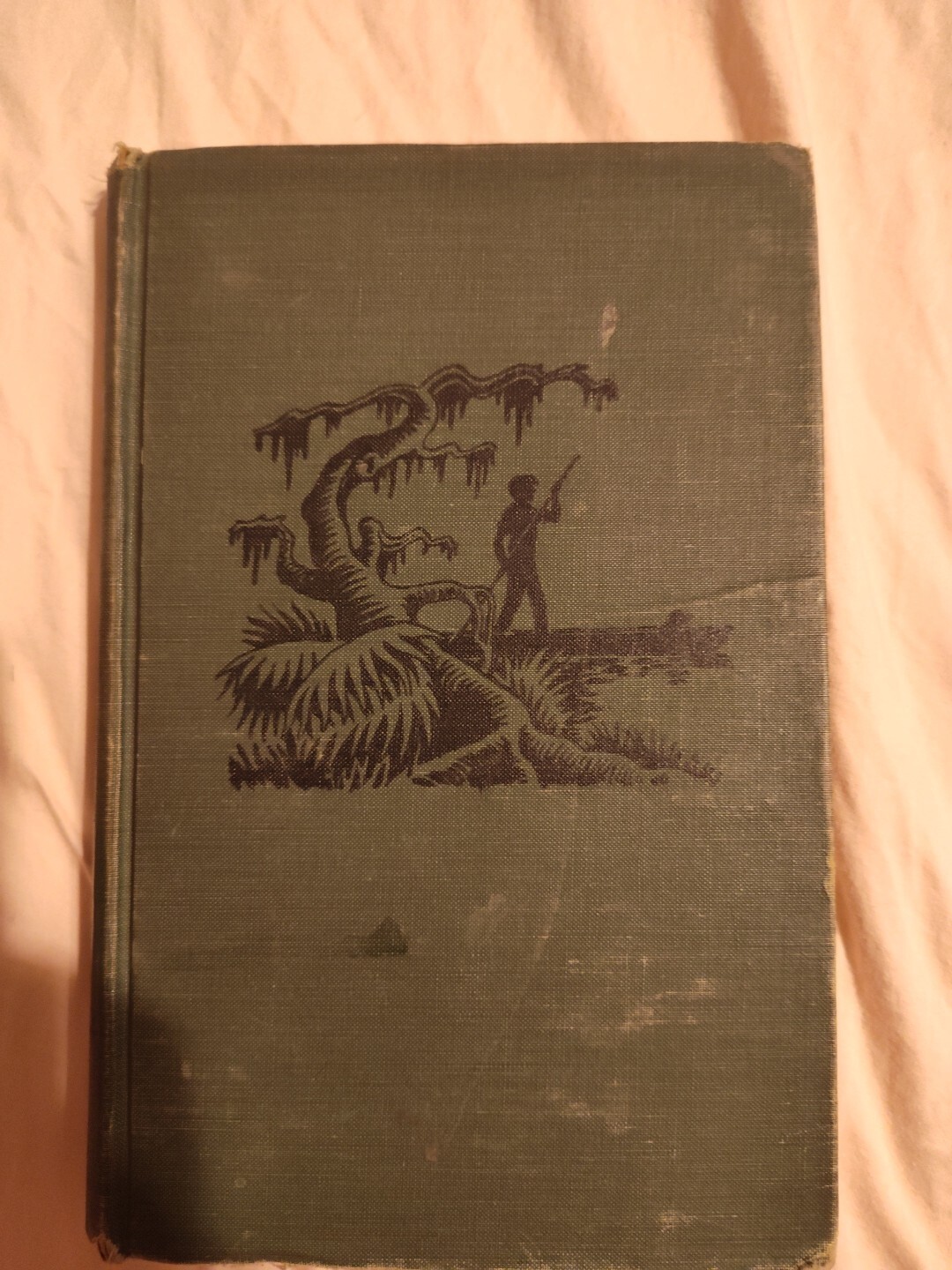 The Mystery of the Great Swamp, Marjorie A. Zapf, Hardback, Weekly Reader, 1967