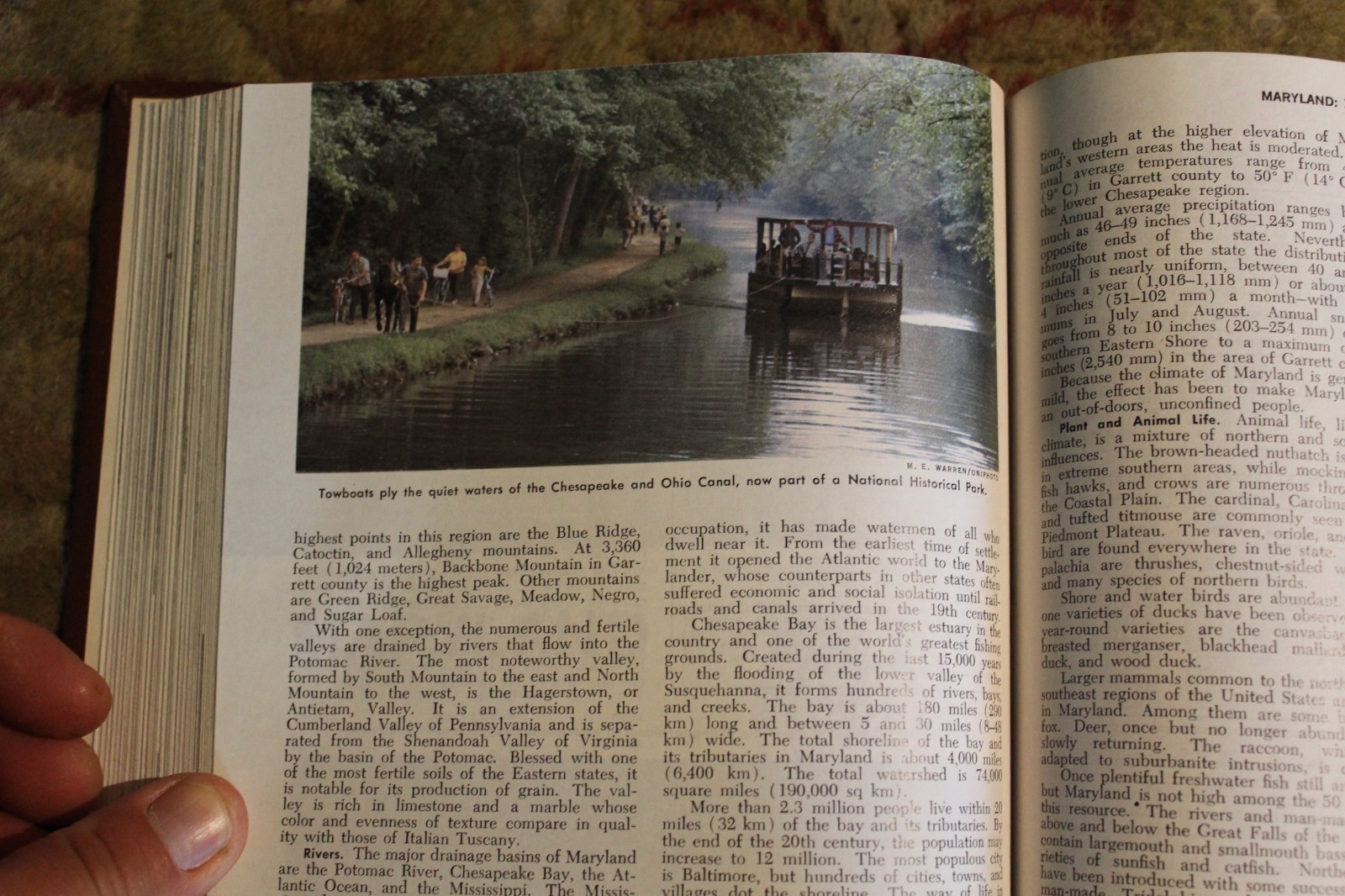 Encyclopedia Americana 1985 — 30 volumes