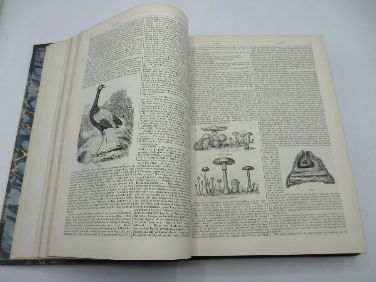 1854 ENGLISH CYCLOPAEDIA of NATURAL HISTORY Charles Knight – COMPLETE 4 VOLS.