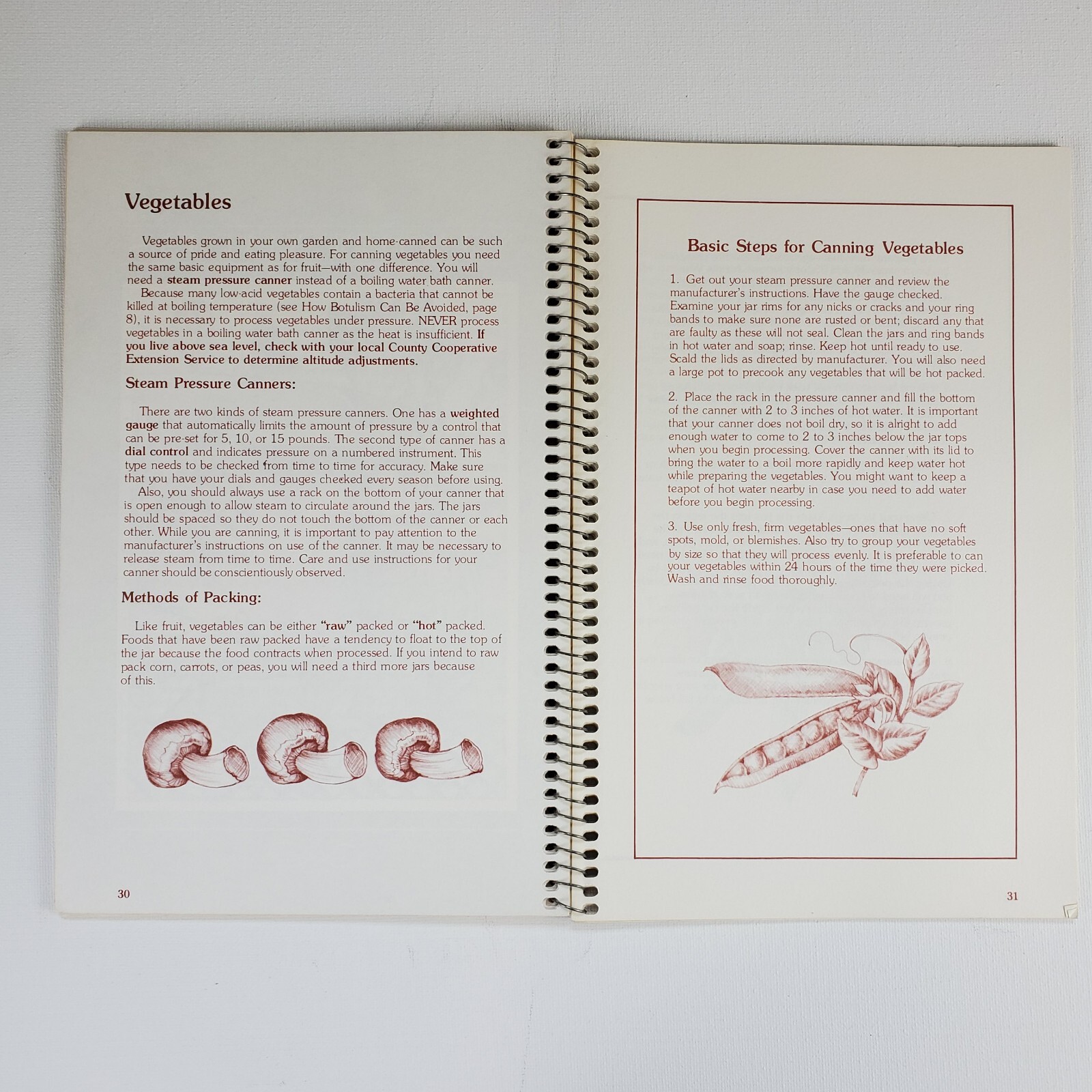 Miriam B Loo’s Home Canning Guide 1981 fruits, vegetables, jams, relish etc